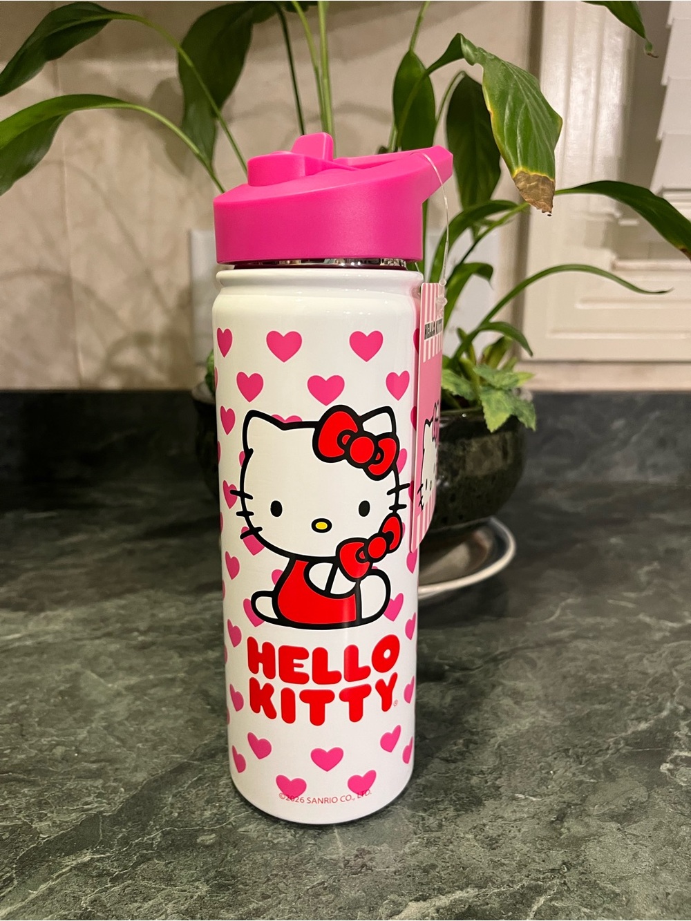 *NWT* Hello Kitty Stainless Steel Water Bottle Tumbler Size 20 oz